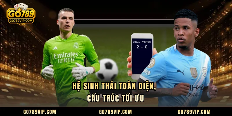 Hệ sinh thái toàn diện, cấu trúc tối ưu