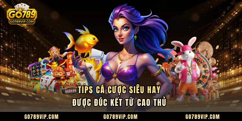 Tips cá cược siêu hay được đúc kết từ cao thủ 